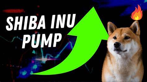 Shiba Inu Price Surges as PayPal announces SHIB Token Integration in USA