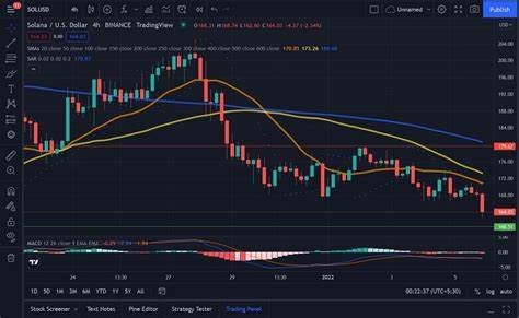 Analysts Think Solana Could ‘Go Nuts’ As SOL Price Retests $160 Resistance