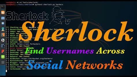 Show HN: Sherlock MCP – find usernames across 400 social platforms