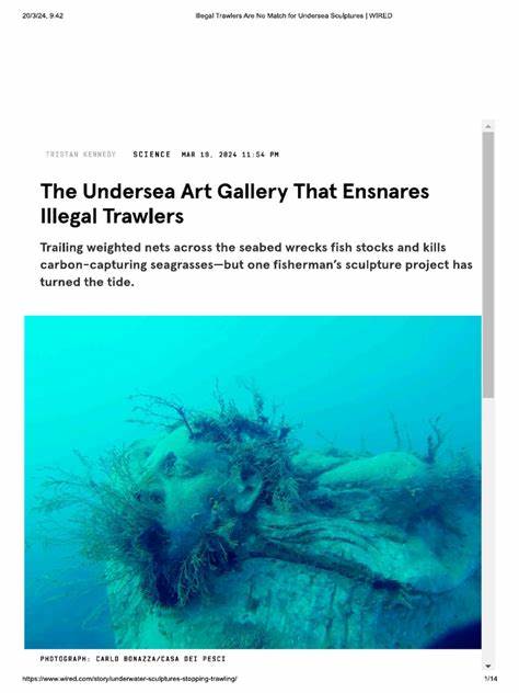 The Undersea Art Gallery That Ensnares Illegal Trawlers (2022)