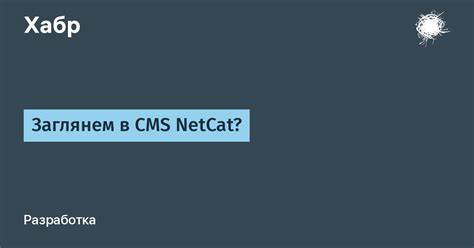 В российской NetCat CMS исправили 23 уязвимости