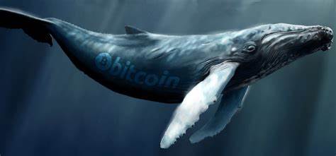 Bitcoin Whales’ Buying Appetite Returns, On-Chain Data Shows - NewsBTC