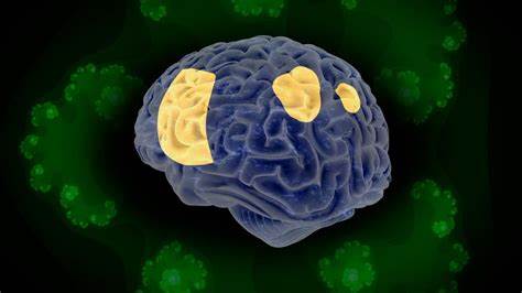 Psychedelics May Shift Brain Power to the Right Hemisphere