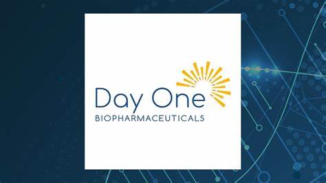 Is Day One Biopharmaceuticals, Inc. (DAWN) the Best Low Priced Biotech Stock to Buy Now?
