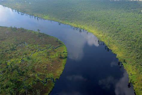 Groups move for disclosure of Chemours' sealed PFAS documents