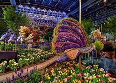 Show HN: Terminal Flower Garden