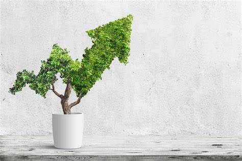 3 Growth Stocks Down as Much as 34% to Buy Right Now