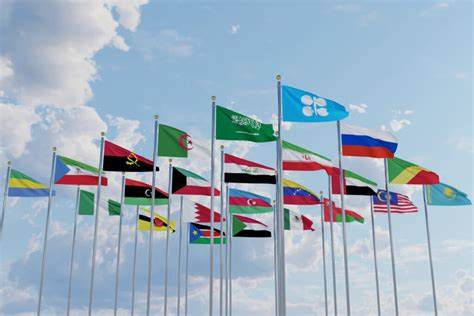 OPEC expects slower 2025 oil supply growth from rivals after price drop