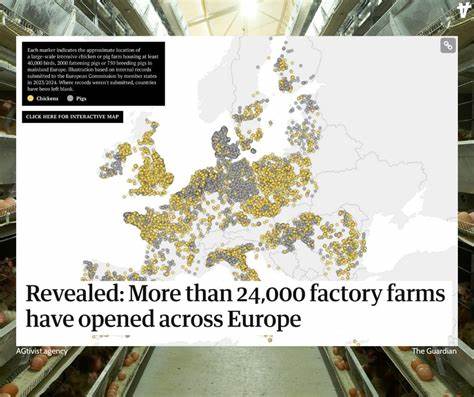 More than 24,000 factory farms have opened across Europe