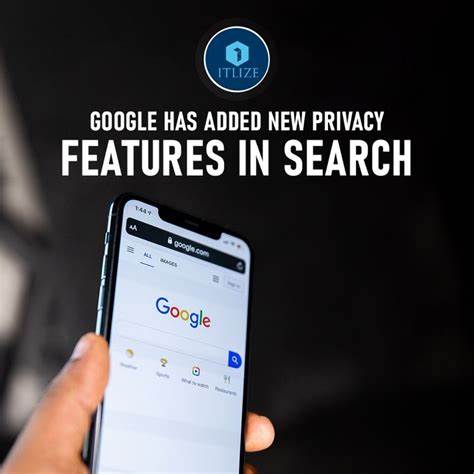 Privacy protections in the Google search case