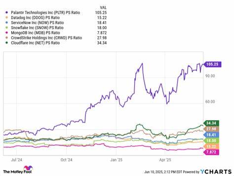 Prediction: Palantir Stock Will Plummet in the Second Half of 2025. The Reason Why Is Obvious