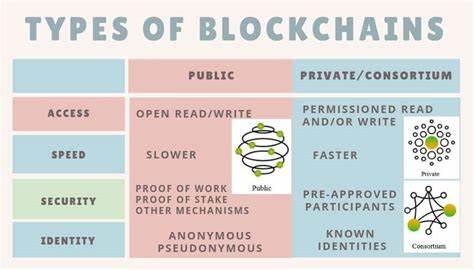 Wie vergleichen und kontrastieren Sie verschiedene Arten von DLTs, wie z. B. öffentliche, private und hybride Blockchains?
