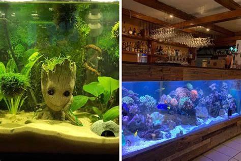 Idea Aquarium