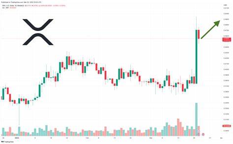 Important News: Crypto Market Faces Major Decline, Ethereum Down 8% - What’s Going On with XRP Amid the SEC Meeting? - CryptoDaily