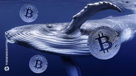 Schlafender Wal bewegt nach 10 Jahren Bitcoin im Wert von 25,7 Millionen US-Dollar – Nairametrics
