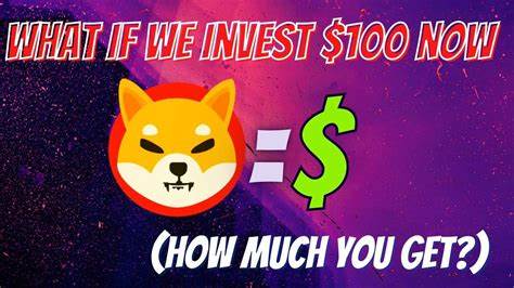 Wenn Sie vor 15 Monaten 100 US-Dollar in Shiba Inu investiert hätten, hätten Sie jetzt so viel – The Motley Fool
