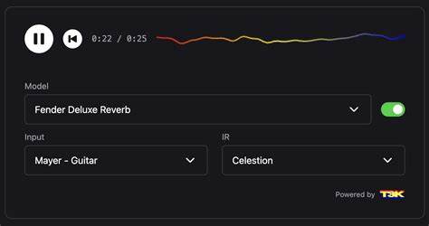 Neural Amp Modeler inference in web browsers using WebAssembly (TONE3000)