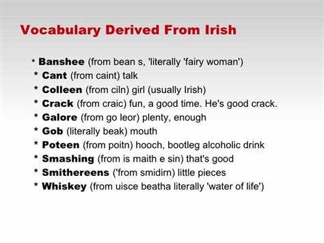 Hiberno-English just does so many things that standard English can’t and I am clinging to it