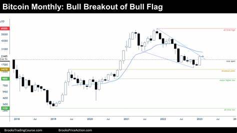 Bitcoin (BTC) breaking out of its bull flag - Is this the time? - CryptoDaily