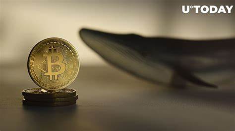 Wal aus der Satoshi-Ära erwacht mit Millionen von Bitcoin nach 14 Jahren Anabiose – U.Today
