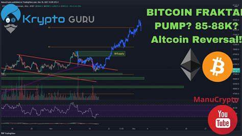 Bitcoin Reversal Incoming? Here Are 3 Altcoins You Should Be Holding - Crypto News Flash