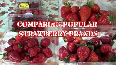 Branding for Strawberries: Turn Your Brand into a Success