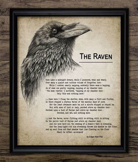 The Raven Programming Language