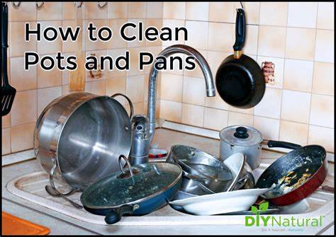 What's Hot, What's Not, in Pots and Pans (2008)
