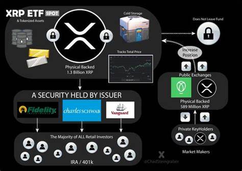 XRP-ETFs: Hohe Erwartungen treffen auf mögliche Enttäuschung