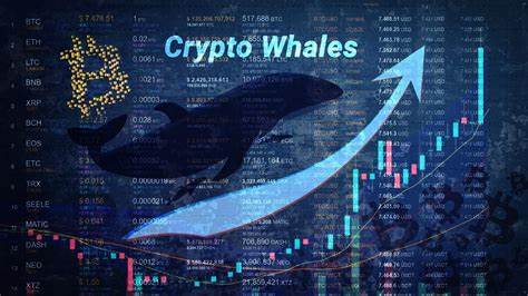 Bitcoin At $80,000? Frantic Purchases Of $1 Billion Per Day By BTC Whales - Cointribune EN