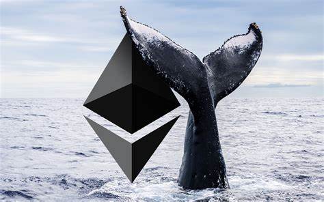 Whale Transactions Decline, But Ethereum Activity Remains Noteworthy - NullTX