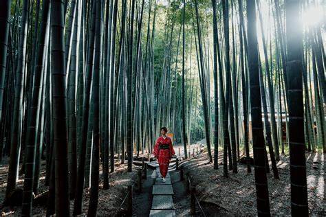 Shinrin-Yoku (Forest Bathing)