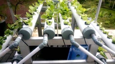Automated agriculture: Building a DIY hydroponic gardening system