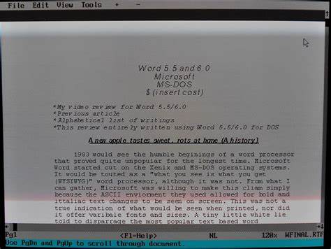 Microsoft Word 5.5 And 6.0 In-depth DOS Review With Pics (2018)