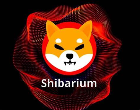 Shiba Inu Team Says This Project is Big for SHIB, Shibarium, and BONE - The Crypto Basic