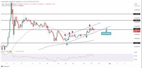 Top 4 Altcoins to Skyrocket Your Wealth Post Bitcoin Halving - CoinGape
