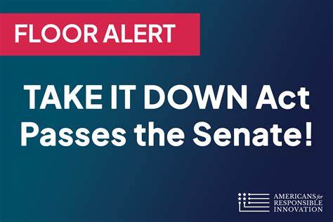 A Takedown of the Take It Down Act