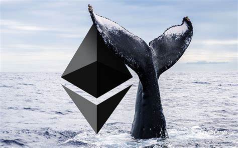 Ethereum (ETH) Price Could Get a Boost as Whales Return to the Market - BeInCrypto