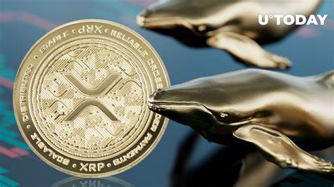 XRP whales strike: 1 billion tokens bought during correction - Passionategeekz