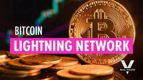 Bitcoin’s Lightning Network: The Why and What - Real Vision