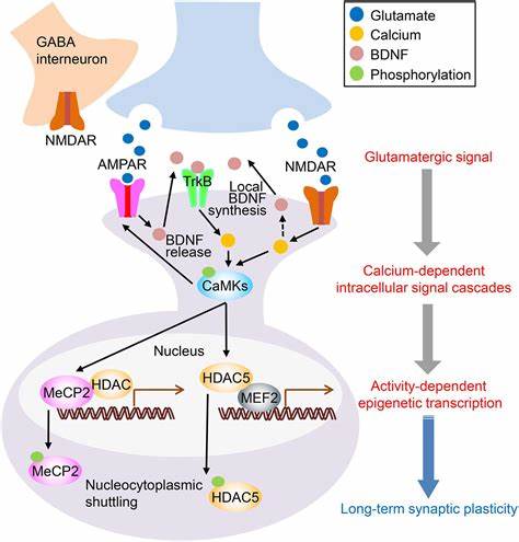 Ketamine's antidepressant effects appear unrelated to stress hormones