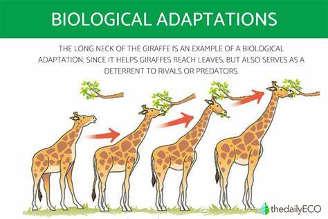 Speculative Idea: What If We Removed the Limits on Human Biological Adaptation?