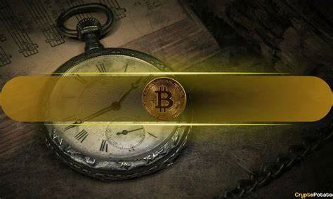 11-Year Dormant Bitcoin Wallet Awakens, Turning $1.7M Into $255M - The Crypto Basic