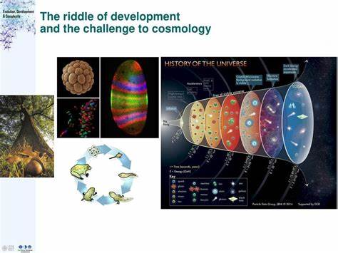 Irishman's universal evolution theory challenges accepted cosmology