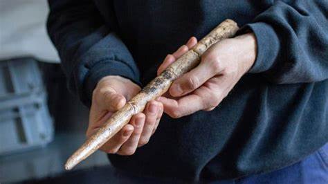 Oldest known tools made from whale bones dated to 20k years ago