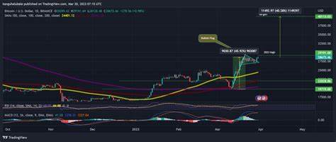 Bitcoin-Preisvorhersage: BTC steigt über 29.000 US-Dollar, während Binance FUD weitergeht – Analytics Insight
