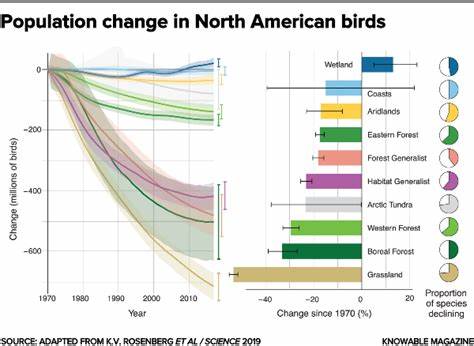 North American bird populations suffering decline