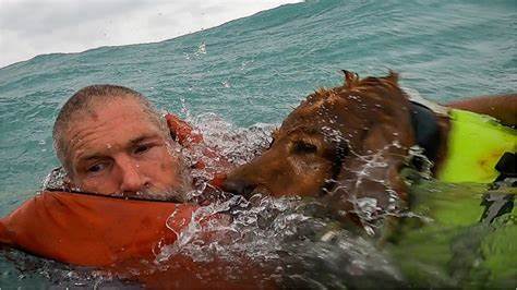 Colorado kayakers rescue a dog that tumbled over 60-foot waterfall in Mexico