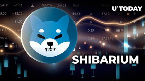 Shiba Inu (SHIB) Witnesses 784% Growth in Key On-Chain Metric: What's Going On?