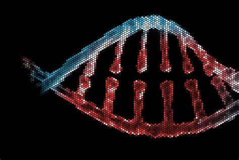 Demonstrating end-to-end scientific discovery with Robin: a multi-agent system